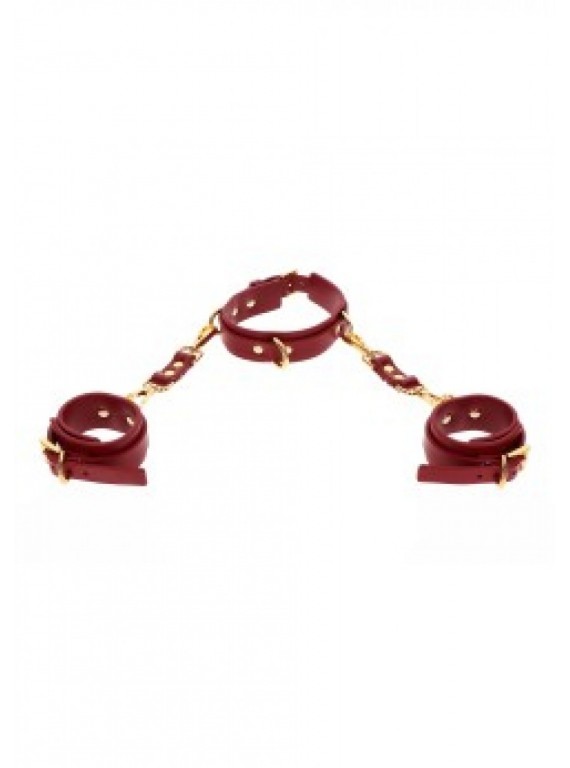 Кольцо и манжеты D-Ring Collar and Wrist Cuffs