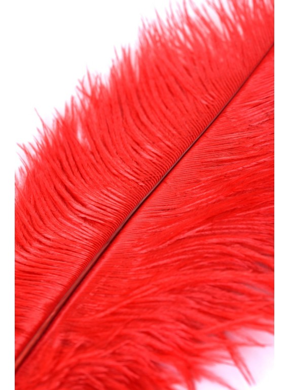 Красное страусиное перо для ласк TOYFA THEATRE